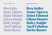 Gigestha Modern Serif (70 Fonts), a Serif Font by MjStudio31 (Thumbnail 6 of 14)