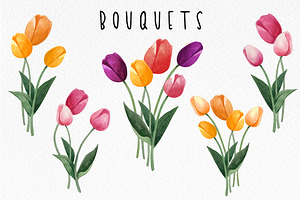 Watercolor Tulips Clipart Bundle