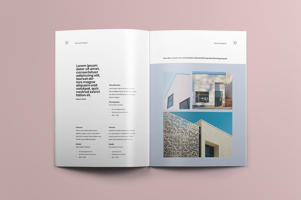 Kaijin.co - Brochure, a Brochure Template by Bokuto (Photo 10 of 11)