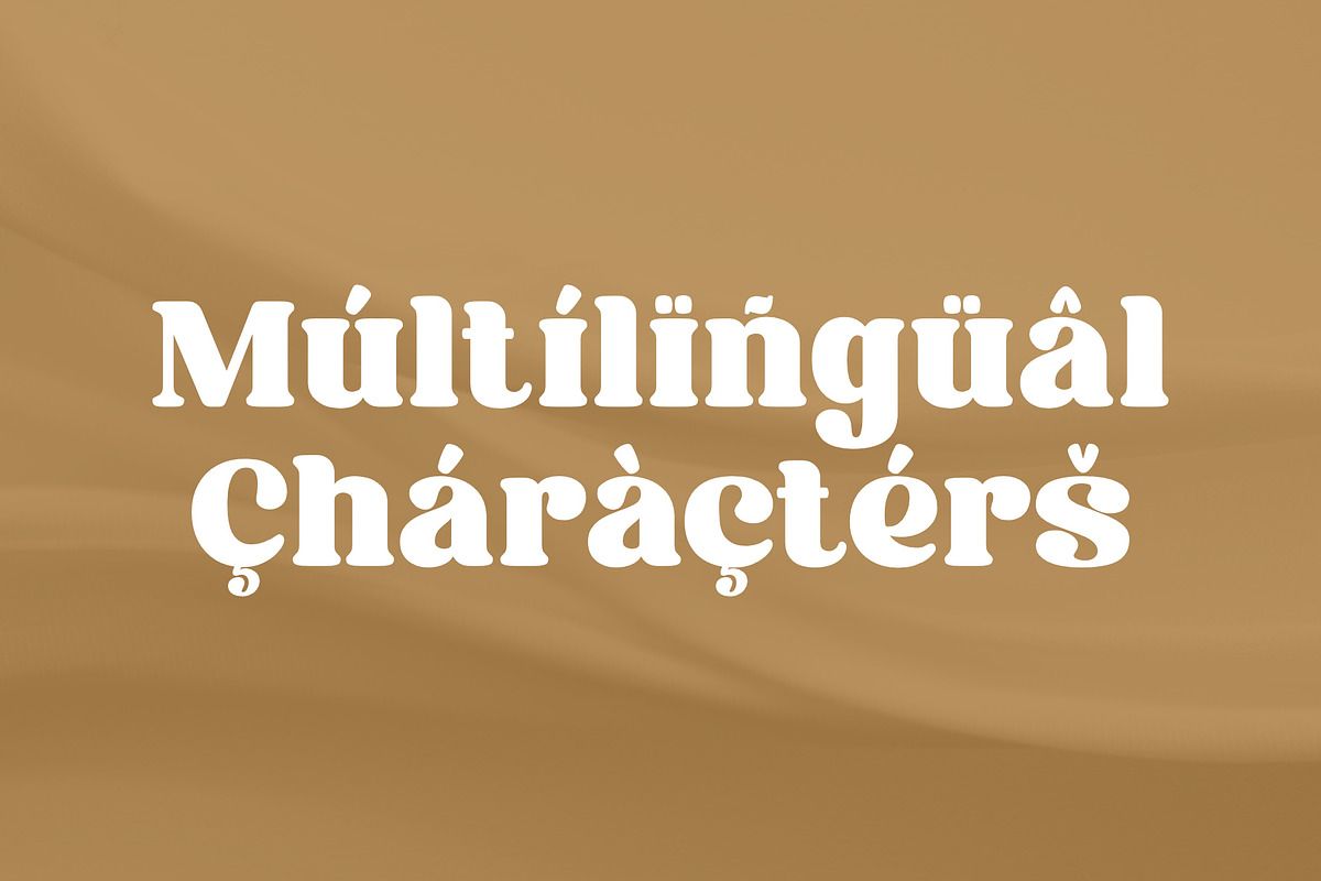 Mogesta | A Modern Display Serif, a Serif Font by Andrimada Creative (Photo 9 of 15)