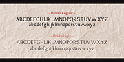 Hideko, a Serif Font by Khaito Gengo (Thumbnail 6 of 7)