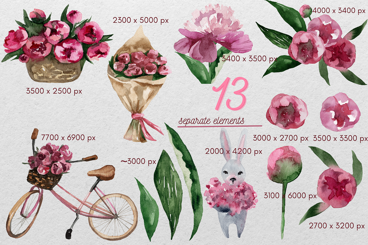 Pink peony flowers watercolor, an Illustration by Artcard Watercolor (Photo 2 of 6)