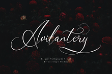 Avilantery Elegant Calligraphy