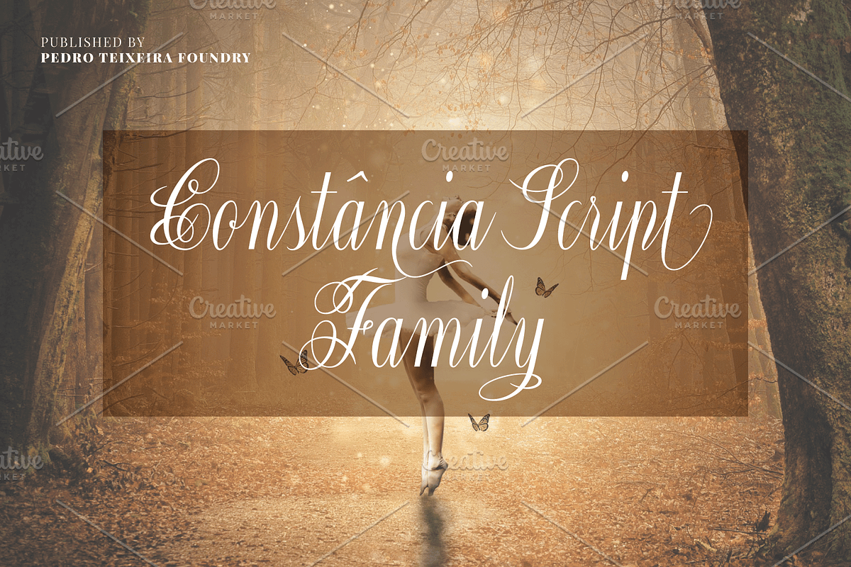 Constância Script Family