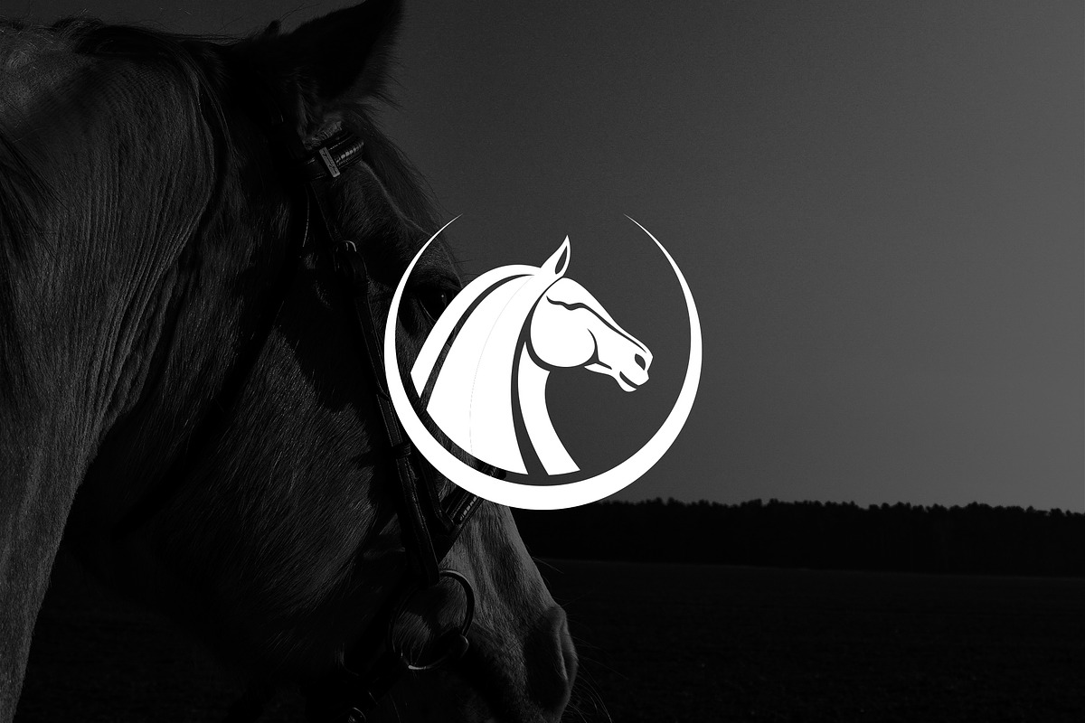 Minimalist Horse with Circle Logo, a Branding & Logo Template by Luxury Logos (Photo 2 of 4)