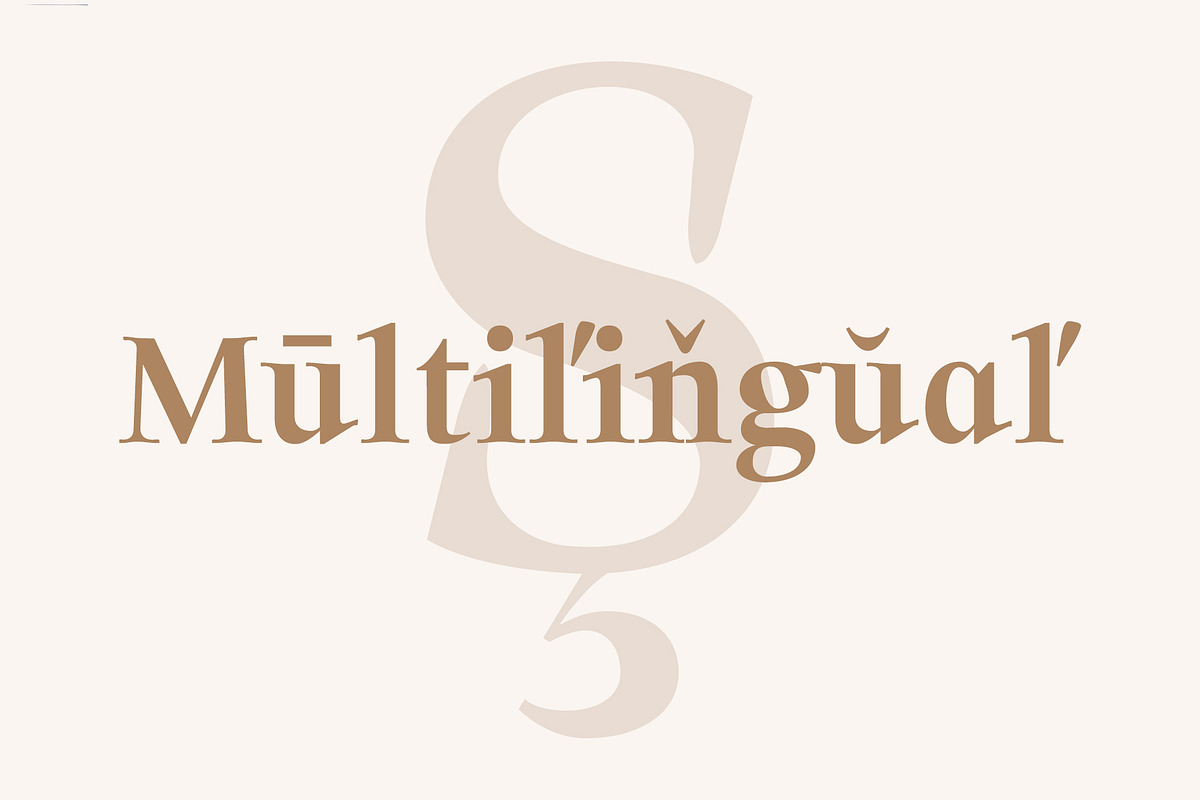 Solomon Serif Font Family preview 7