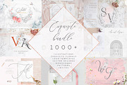 Whole Shop Bundle ~ 2025 UPDATED, a Graphic by Olya Creative (Thumbnail 12 of 22)