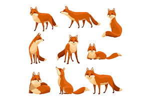 Red fox set. Funny character, forest, an Animal Illustration by the8monkey