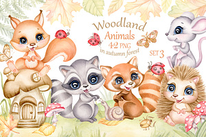 Cute Woodland Baby Animals Clipart 3