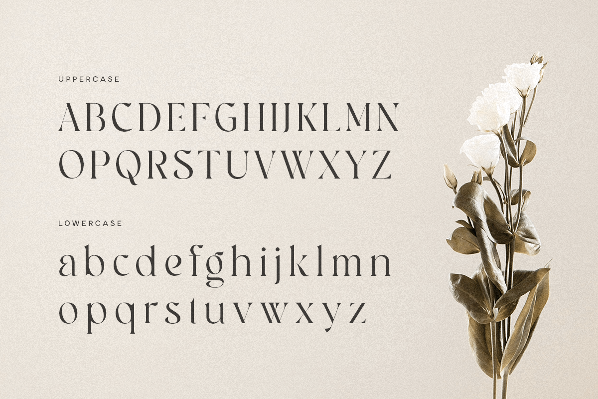 Bailey - Classy Luxury Logo Font, a Serif Font by Sensatype (Photo 11 of 13)