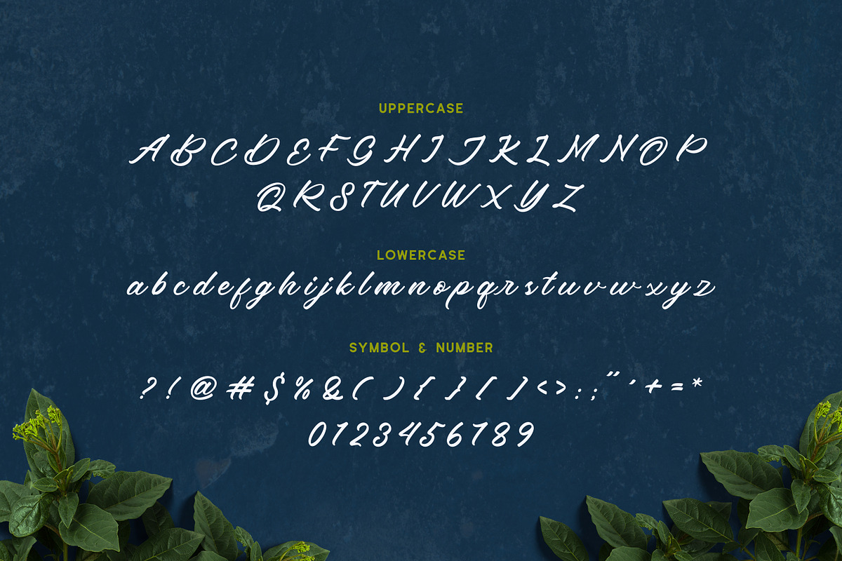 Beardcanye - Modern And Clean Script preview 6