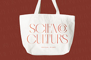 Qasnors Modern Display Serif, a Serif Font by timelesstype.co (Thumbnail 4 of 20)