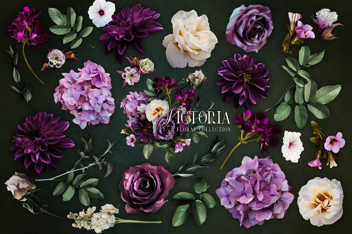 Regal Victoria Floral Collection, a Decorative Illustration by Eclectic Anthology (Photo 9 of 11)