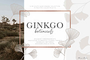 Ginkgo Botanicals - Florals & Leaves, an Illustration by Momo Studio (Thumbnail 1 of 13)