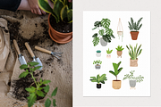 House plants | Urban jungle, a Decorative Illustration by AngelinaKovel (Thumbnail 9 of 10)