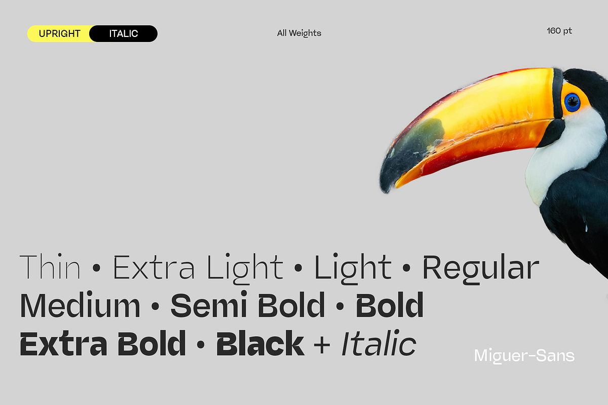 Miguer Sans | Contrast Sans, a Sans Serif Font by Jolicia Type (Photo 3 of 21)