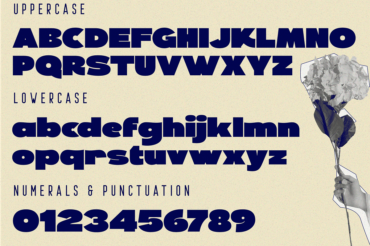 PERFORM GENERIC Font, a Sans Serif Font by 177Studio (Photo 7 of 7)