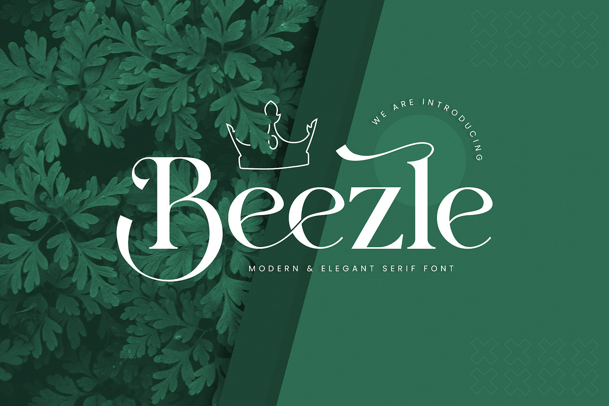 Beezle Modern Serif Font, a Serif Font by Idea Studio (Photo 1 of 10)