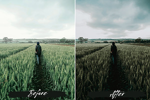 10 Moody Green Lightroom Presets