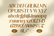 Vonza Regalia – Luxury Serif Duo Fon, a Sans Serif Font by Flawless And Co (Thumbnail 7 of 10)