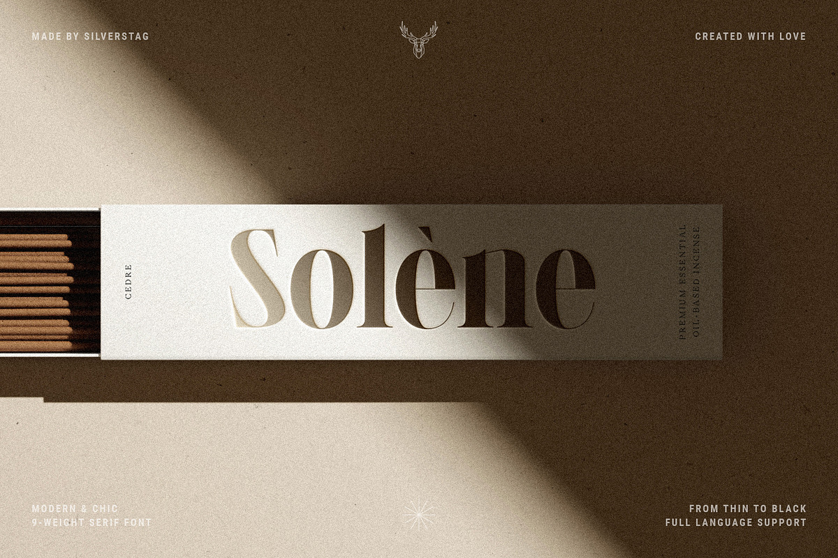 LaRuja - Modern Serif Typeface, a Serif Font by SilverStag Type Foundry (Photo 9 of 20)