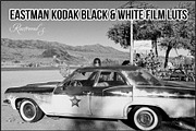 Eastman Kodak Black White Films LUTs, a Plug-in Add-On by Raztrend (Thumbnail 1 of 30)