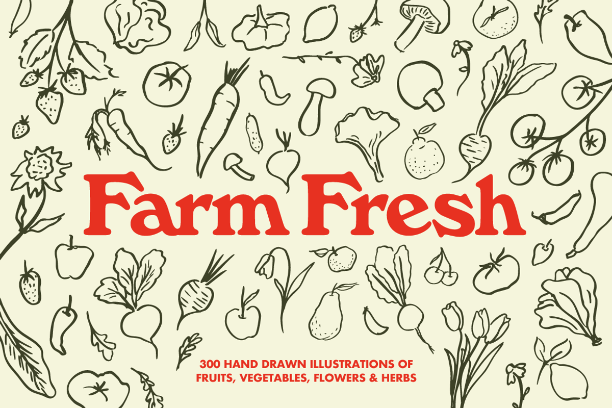 Farm Fresh Hand Drawn Illustrations, an Illustration by Oti Lu Studio (Photo 1 of 8)