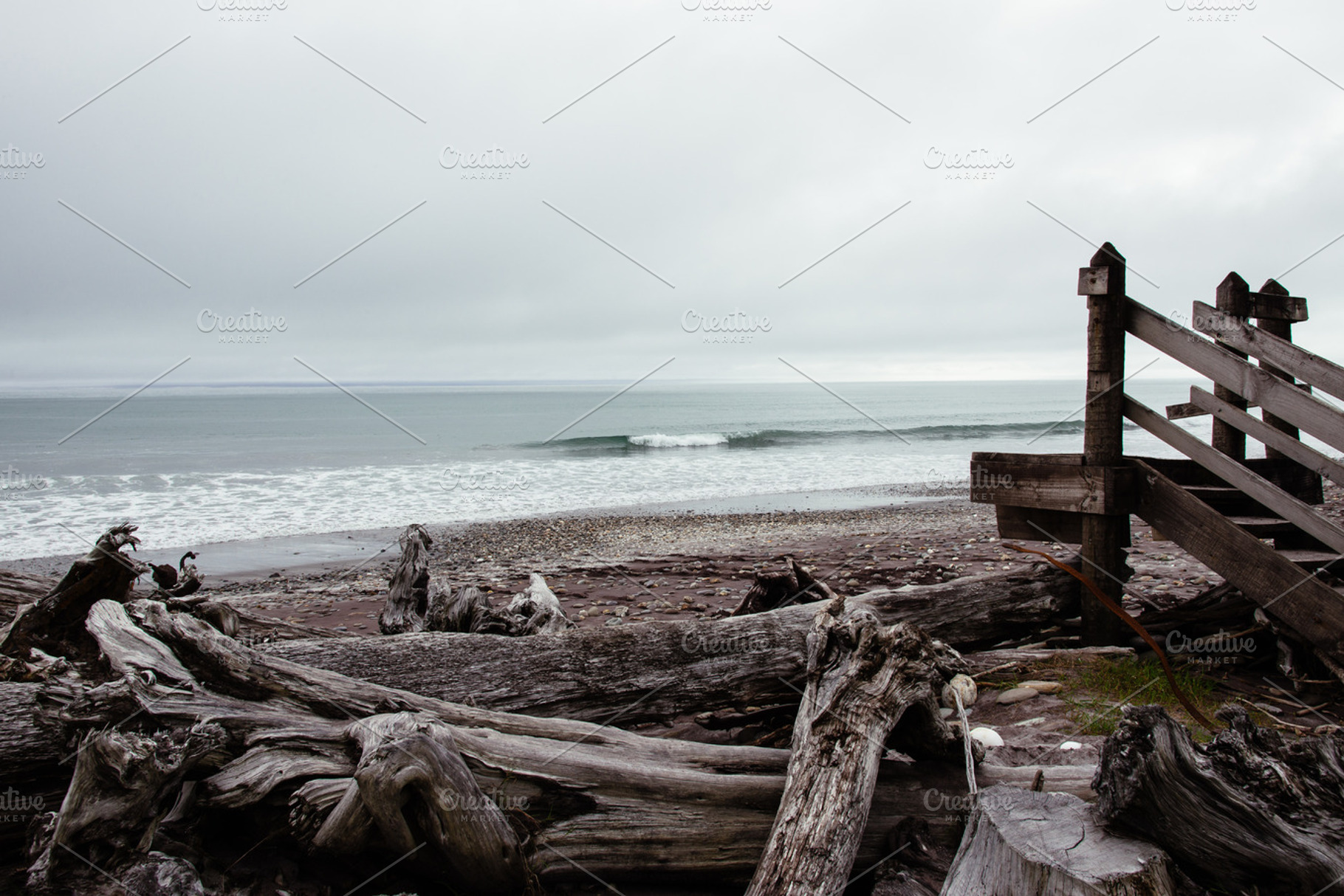 Driftwood on beach stock photo containing beach and coast