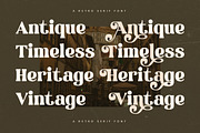 History Regale Retro Serif Font, a Serif Font by Letterena Studios (Thumbnail 8 of 15)