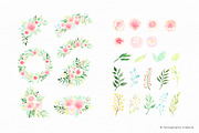 Rosie's Blooms - Watercolor Flowers, an Illustration by Carousellerie Creative (Thumbnail 3 of 3)