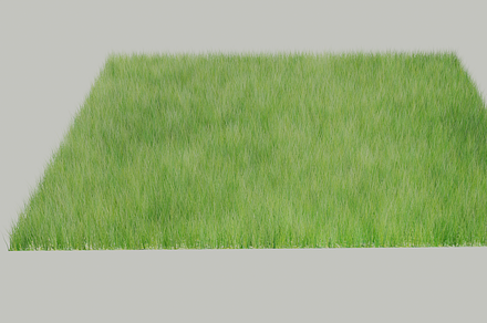 lawn grass, a Plants & Tree 3D Model by nicollr's store