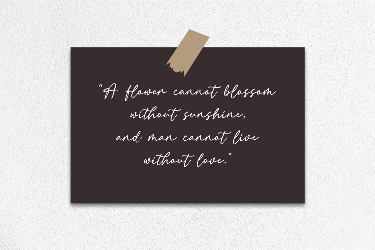 Callinda a Signature Font, a Script Font by Vilogsign (Photo 6 of 8)