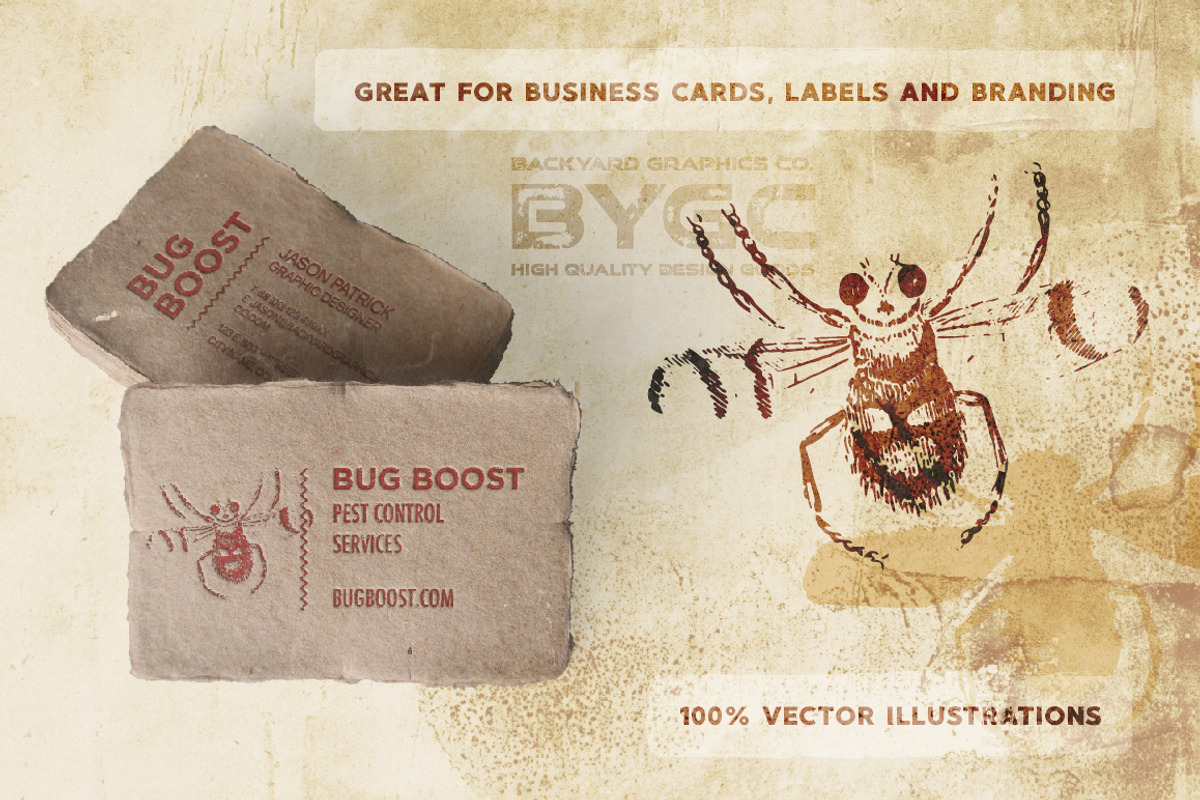 Vintage Insect Illustrations, an Illustration by BackYard Graphics Co. (Photo 9 of 10)