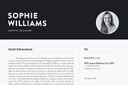 Resume, a Resume Template by UX-group (Thumbnail 5 of 5)
