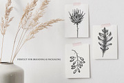 Autumn Leaves and Flowers Vector Set, an Object Graphic by Yevheniia (Thumbnail 11 of 11)