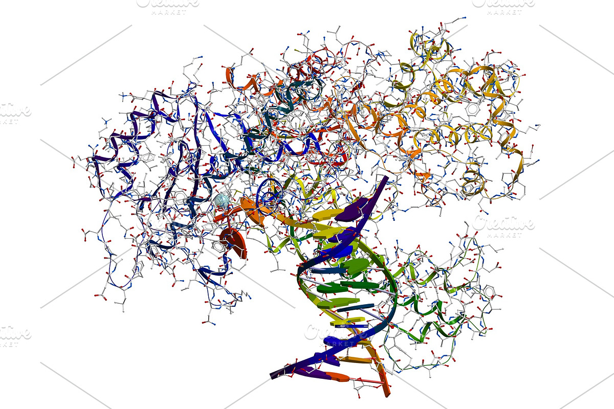 DNA polymerase I. An enzyme that, an Illustration by Leonid Andronov