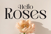 Authen Vignet Versatility Elegance, a Font by AuthenType (Thumbnail 6 of 10)