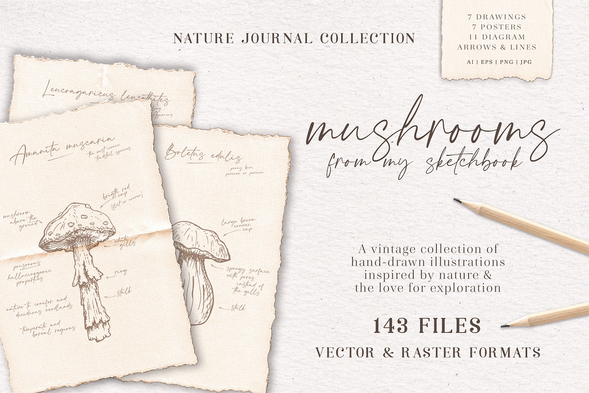 Sketchbook Mushrooms Vintage Art, a Decorative Illustration by Pigment Café (Photo 1 of 7)