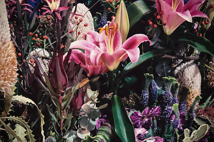 Floral Photo Art • v41, a Nature Photo by Alexander BLOOMS