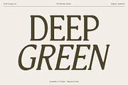 CS Quinzel Drawn, a Serif Font by Craft Supply Co. (Thumbnail 3 of 8)