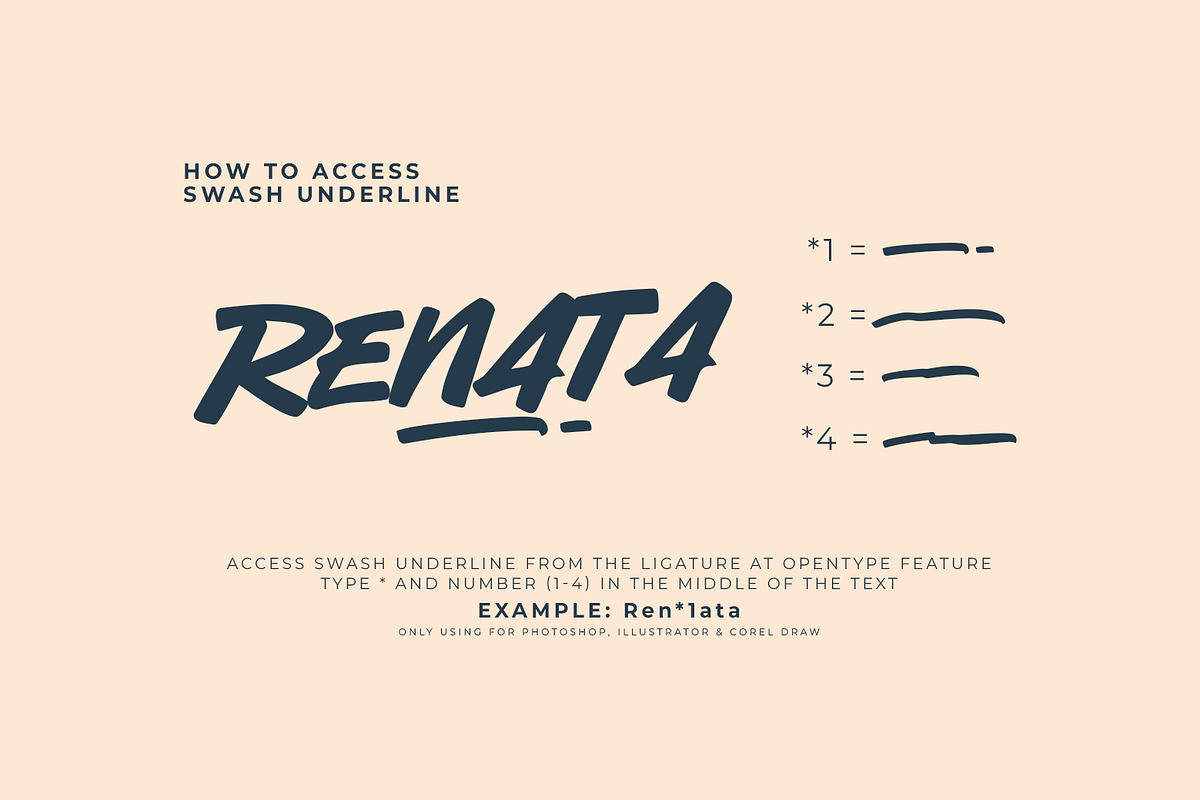 Reydex, a Script Font by khurasan (Photo 6 of 7)