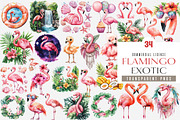 Watercolor Flamingo Clipart, Exotic, an Illustration by SinaCreation (Thumbnail 1 of 4)