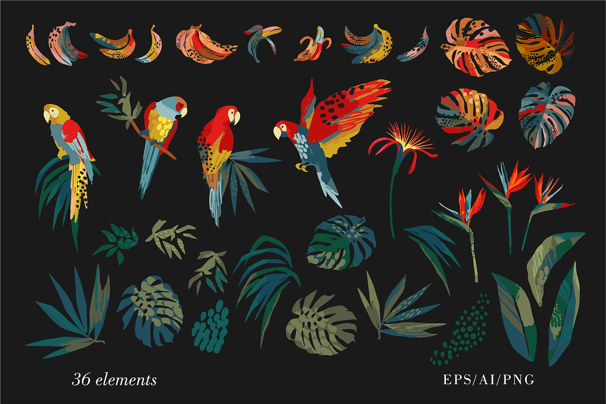 Jungle patterns & elements, a Pattern Graphic by Nadia Grapes (Photo 4 of 6)