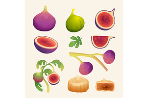 Fig fruits. Eating plants from fig, a Food Illustration by Onyx