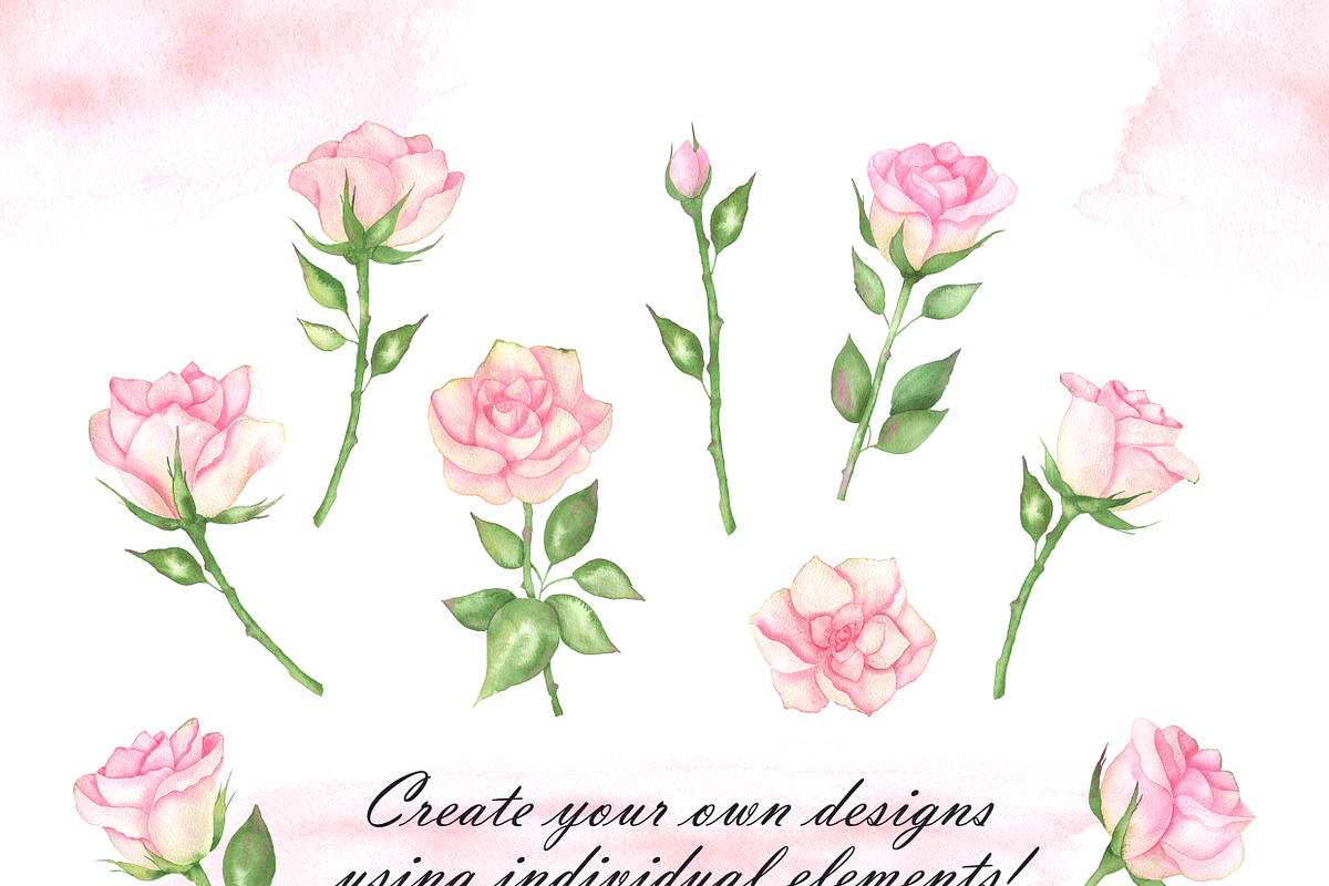 Watercolor pink roses and leaves, an Illustration by OlDm_Shop (Photo 9 of 10)