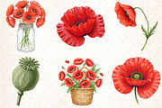 Watercolor Poppies Clipart, an Illustration by Libby Wishes (Thumbnail 6 of 6)