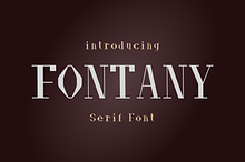 Fontany - Modern Typeface