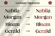 chatime - a bold ligature font, a Serif Font by NYDESIGN (Thumbnail 4 of 11)