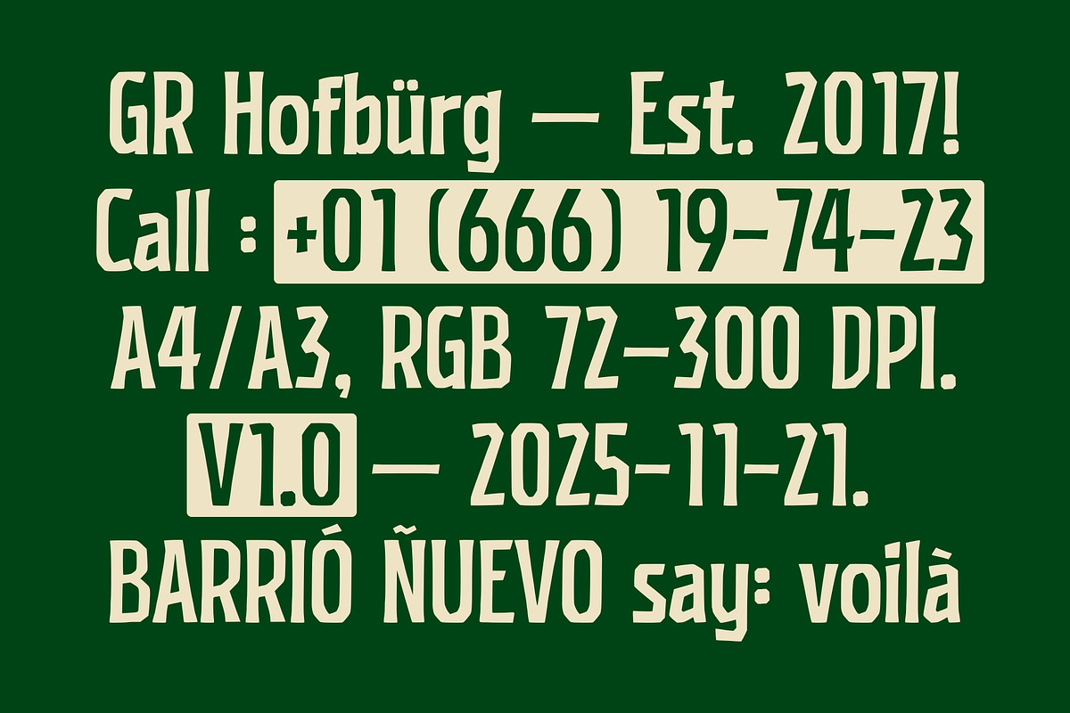 GR HOFBURG – Retro Industrial, a Sans Serif Font by Garisman Std (Photo 7 of 11)