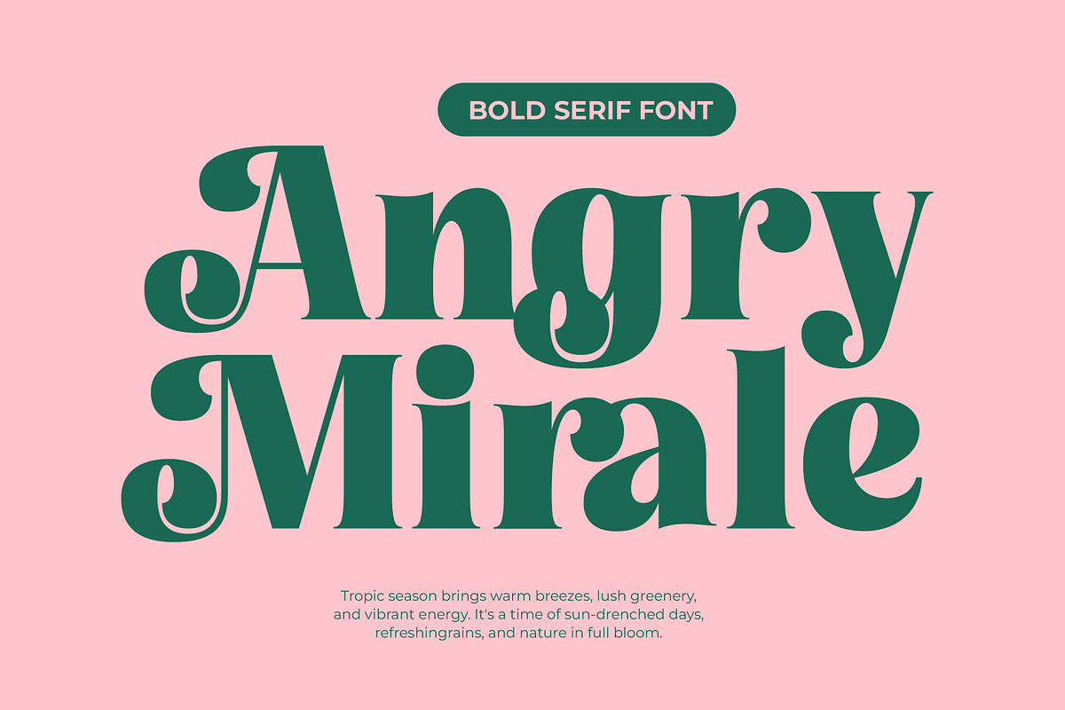 Tropic Fresh Bold Vintage Serif, a Serif Font by timelesstype.co (Photo 2 of 20)